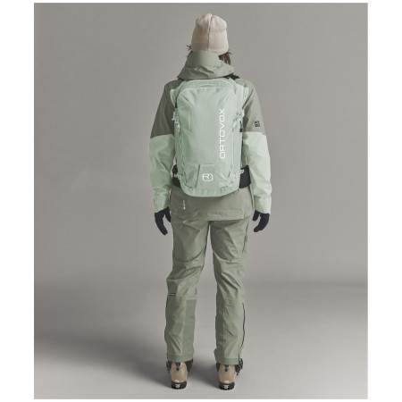 Rucsac pentru schi alpin Ortovox Switchback 30 S