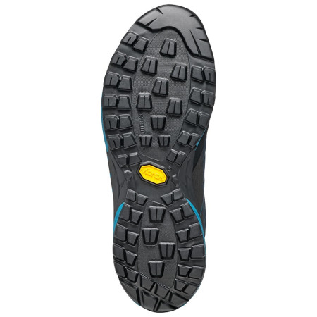 Încălțăminte bărbați Scarpa Mescalito GTX