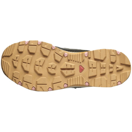 Încălțăminte femei Salomon Techamphibian 5