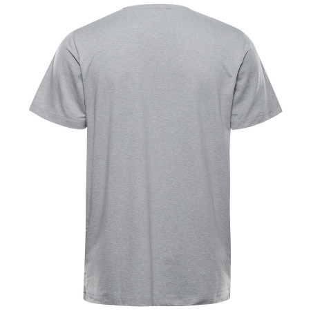 Tricou bărbați Alpine Pro Goraf 2