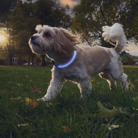 Zgardă luminoasă pentru câini Nite Ize NiteHowl® Rechargeable LED Safety Necklace