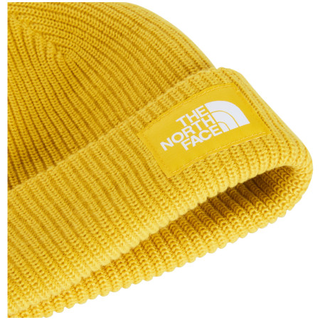 Căciulă The North Face Salty Lined Beanie