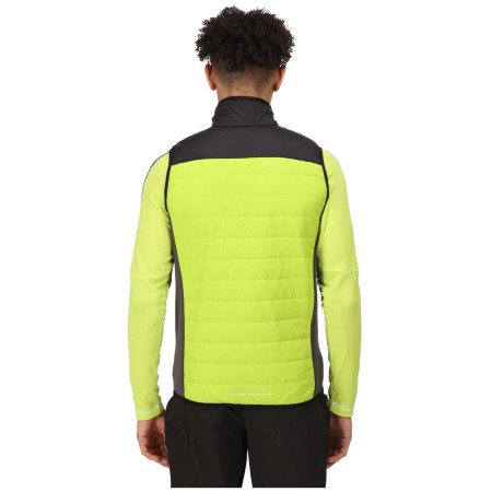 Vestă bărbați Regatta Halton BW VI