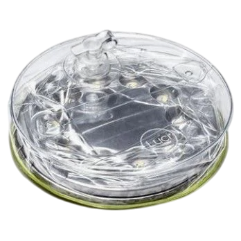 Lumină LED Mpowerd Luci Outdoor