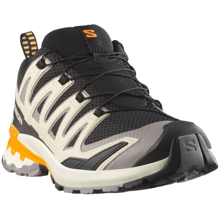 Încălțăminte bărbați Salomon Xa Pro 3D V9