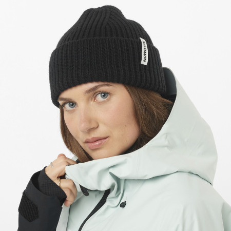 Căciulă Salomon Snowbird Beanie U