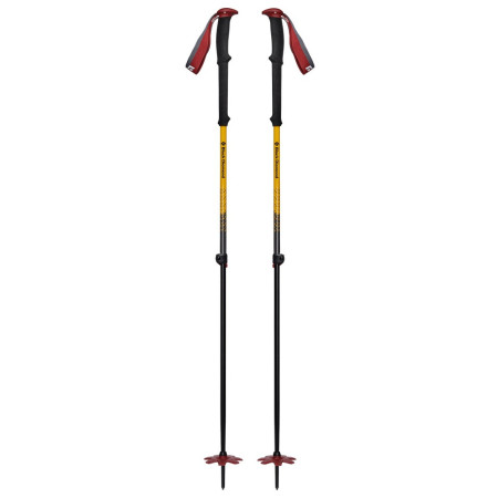 Bețe de schi Black Diamond Expedition JC