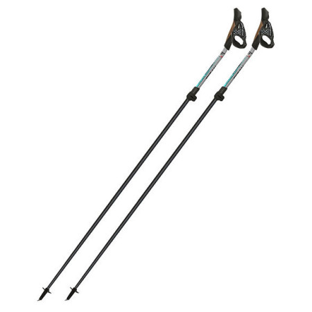 Bețe Nordic Walking Fizan Tekno Race Impulse gri Grey