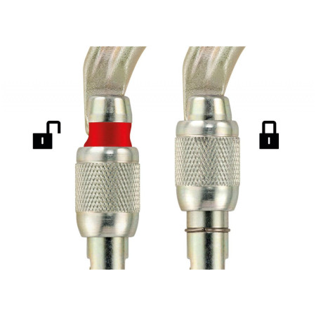 Carabinieră Petzl Vulcan Screw-Lock