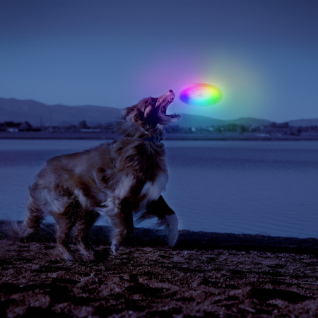 Jucărie pentru câini Nite Ize Flashflight® Dog Discuit™ LED Flying Disc