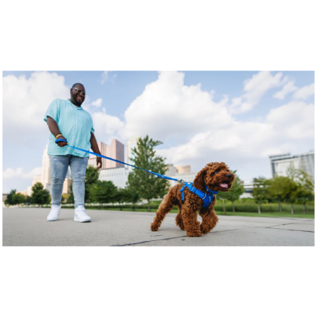 Lesă pentru câini Ruffwear Front Range™ Leash