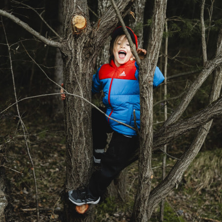 Încălțăminte copii Adidas Terrex Ax4R K