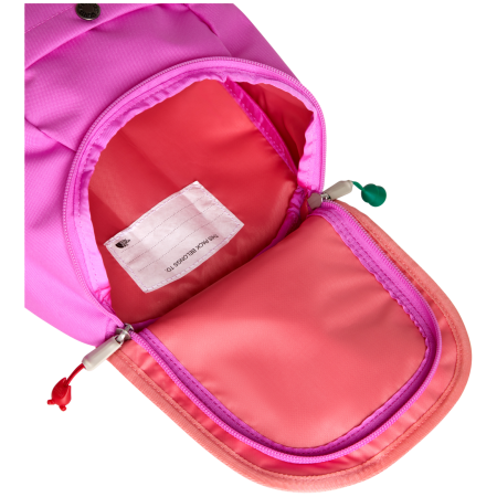 Rucsac pentru copii The North Face Y Mini Explorer