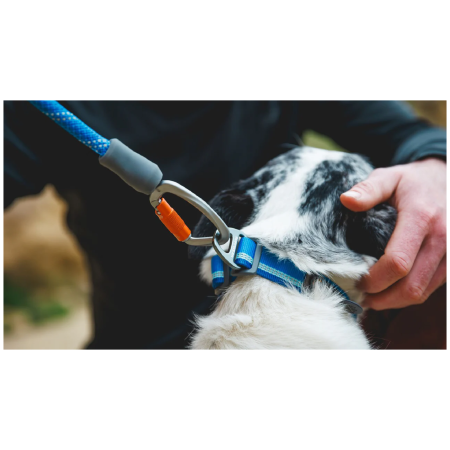 Lesă pentru câini Ruffwear Knot-a-Leash™