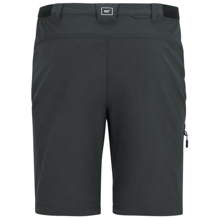 Pantaloni bărbați Regatta Anti-Insect Travel Light Z/O Trousers