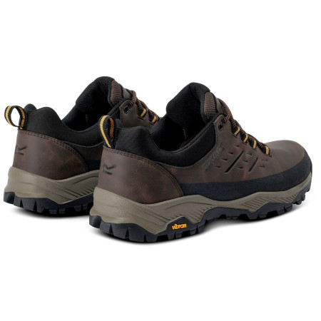 Încălțăminte bărbați Regatta Blake Low