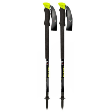 Bețe de trekking Fizan Compact Pro