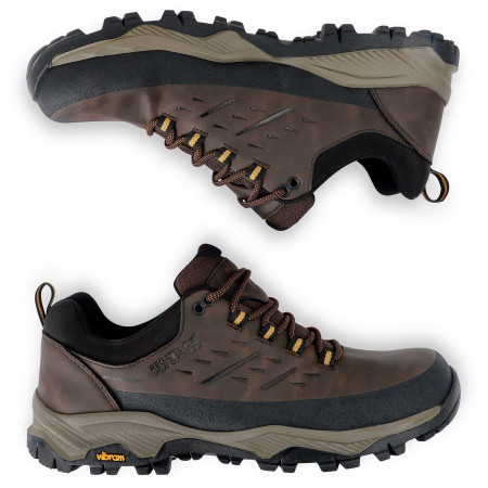 Încălțăminte bărbați Regatta Blake Low