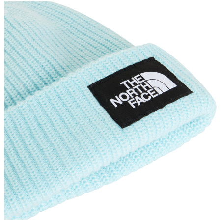 Căciulă The North Face Salty Lined Beanie