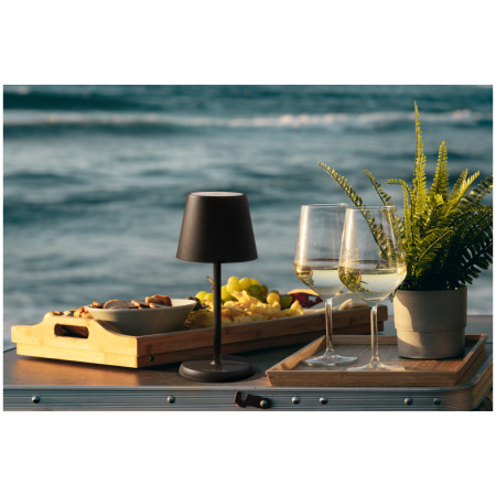 Felinar Brunner Lucien