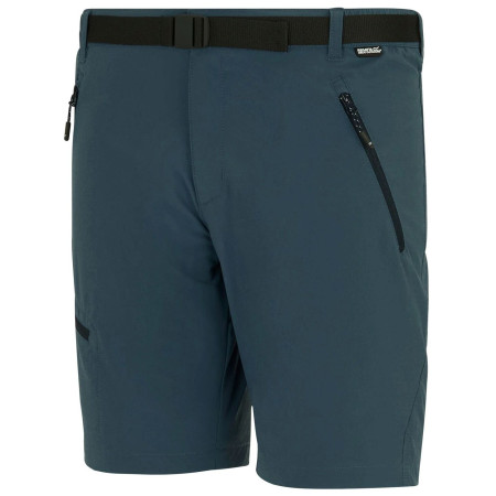 Pantaloni scurți bărbați Regatta Xert Stretch Shorts