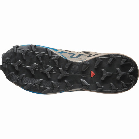 Încălțăminte de alergat pentru bărbați Salomon Speedcross 6 Gore-Tex