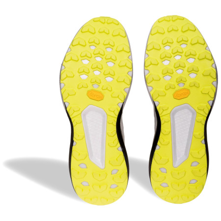 Încălțăminte de alergat pentru bărbați Dynafit Trail