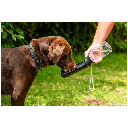 Sticlă pentru câini Mountain Paws Folding Dog Water Bottle