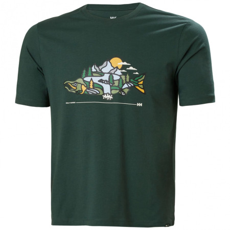 Tricou bărbați Helly Hansen F2F Organic Cotton Tee 2.0 verde