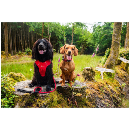 Lesă pentru câini Mountain Paws Rope Dog Lead