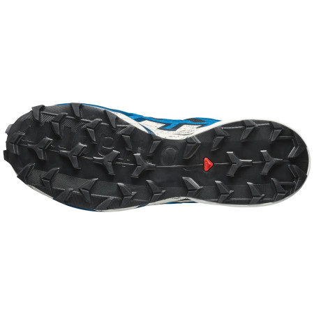 Încălțăminte de alergat pentru bărbați Salomon Speedcross 6 Gore-Tex