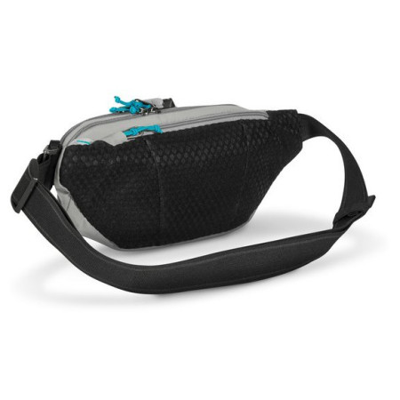 Borsetă Pacsafe ECO waist pack