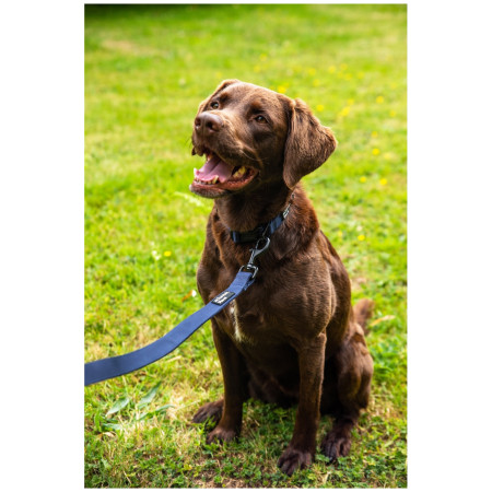 Lesă pentru câini Mountain Paws Extra Tough Dog Lead