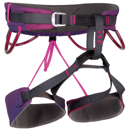 Ham de alpinism Camp Energy Janja