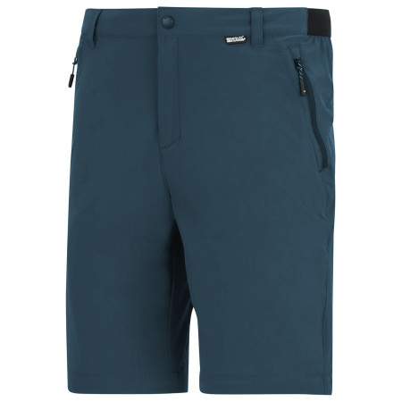 Pantaloni bărbați Regatta Anti-Insect Travel Light Z/O Trousers
