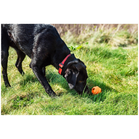 Jucărie pentru câini Mountain Paws Dog Wave Treat Ball Dispenser