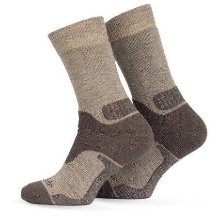 Șosete Bridgedale Field Range MW MP Boot