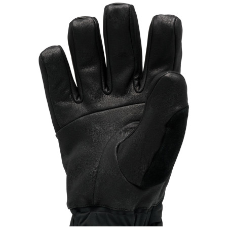 Mănuși de schi Black Diamond Legend Gloves