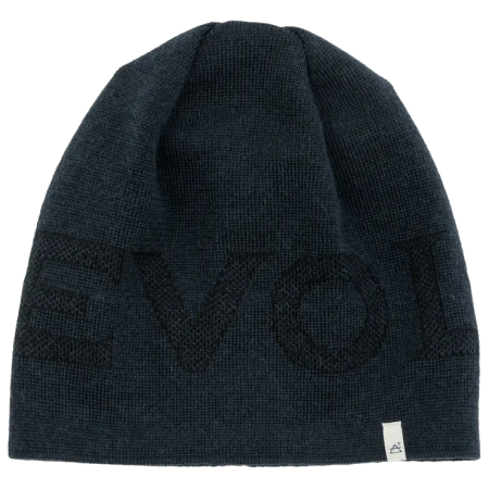 Căciulă Devold Everyday Logo Wool Beanie albastru închis Ink