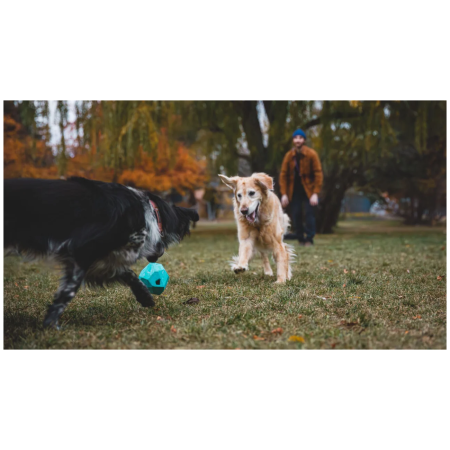 Jucărie pentru câini Ruffwear Gnawt-a-Rock™ Toy