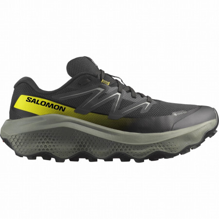 Încălțăminte bărbați Salomon Ultra Flow 2 Gore-Tex
