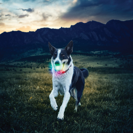 Jucărie pentru câini Nite Ize Glowstreak LED Ball