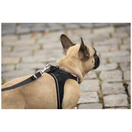 Lesă pentru câini Curli Adjustable Leash Nylon