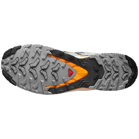 Încălțăminte bărbați Salomon Xa Pro 3D V9