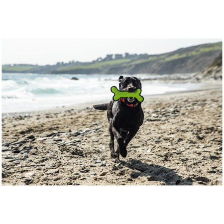 Jucărie pentru câini Mountain Paws Rubber Bone Dog Toy