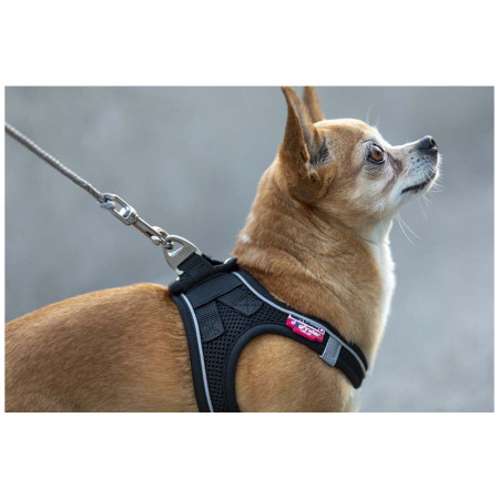 Lesă pentru câini Curli Ultra Strong Pocket Leash