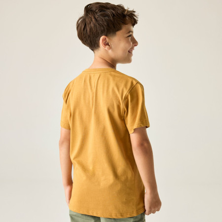 Tricou copii Regatta Bosley Wood Brown
