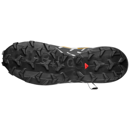 Încălțăminte bărbați Salomon Speedcross 6 20 Years