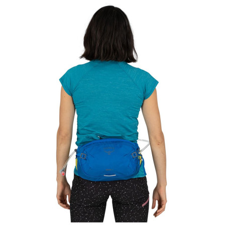 Borsetă Osprey Seral 4