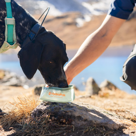 Bol pliant Hydrapak Rover Dog Bowl